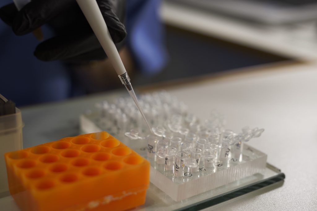 Preparing DNA for PCR